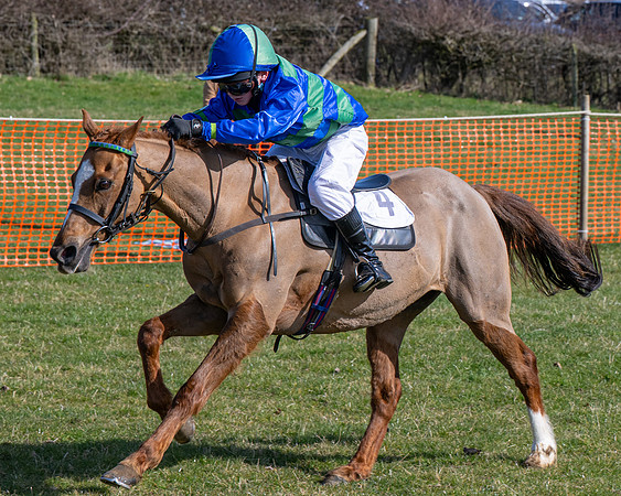 Pony Race 2 - 138cm (51 of 65)