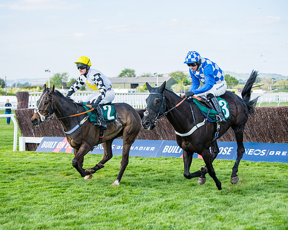 Race 1 - The open Hunter chase  (56 of 95)