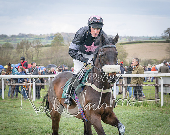 Race 3 - 5 years old and Over Maiden Race (17 of 130)