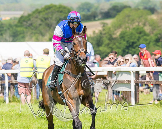 Race 2 - The Maiden  (47 of 442)