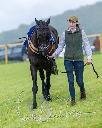 Race 1 - Owner-Trainer Conditions  (63 of 392)