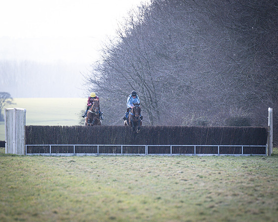 Race 6 - PPORA Novice Riders (37 of 95)