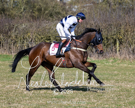 Race 1 - Maiden (33 of 188)