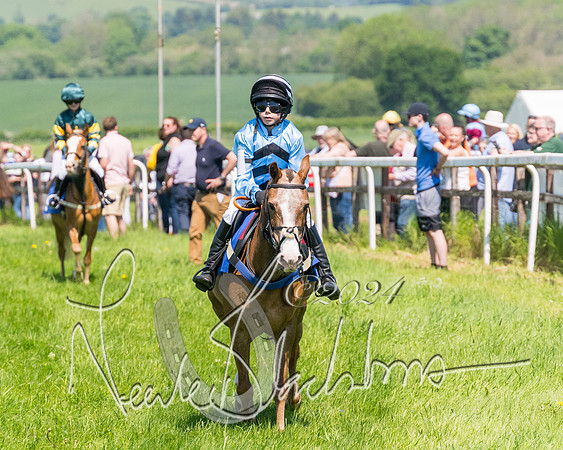Pony Races  (8 of 141)