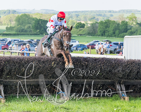 Race 7 - Veteran Horse (134 of 246)