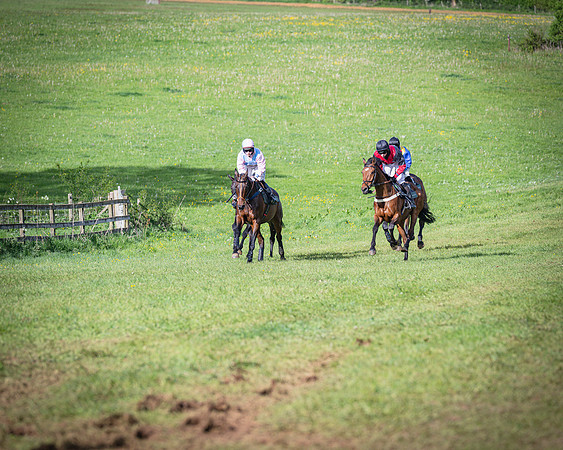 Race 7 - Walnut Hill PPORA club members maiden (3 of 104)