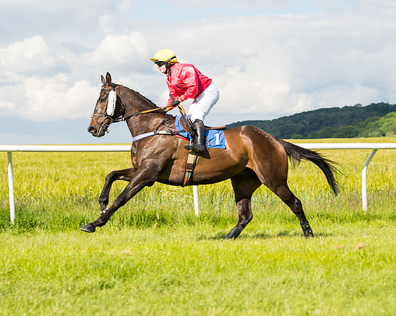 Race 5 - Restricted  (32 of 136)
