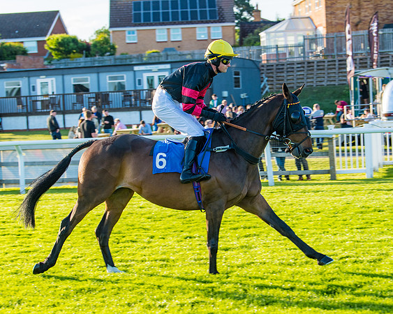 Race 5 - White Swan Hotel Handicap (9 of 80)