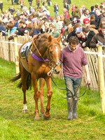 Old Berks at Lockinge Restricted Race
