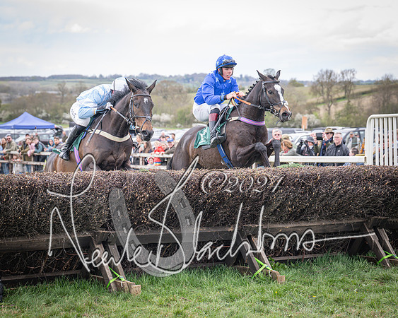 Race 2 - Tattersalls Cheltenham 4 year old Maiden (38 of 85)
