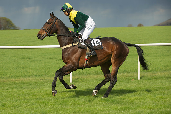 Novice Riders 18