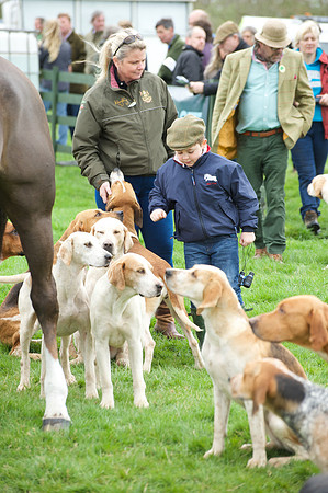 Pytchley - Hounds and friends 21