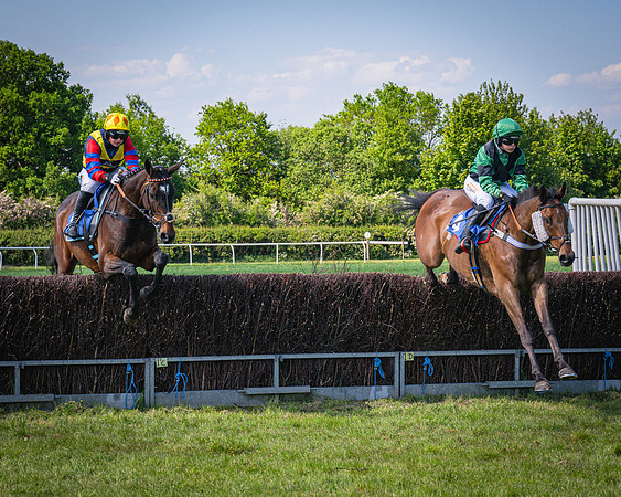 Race 3 The College and County Ladies Open Race (37 of 122)