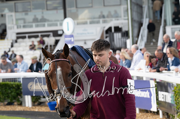 Race 3 - The pointtopoint.co.uk champion novices’ Hunter Chase (33 of 140)