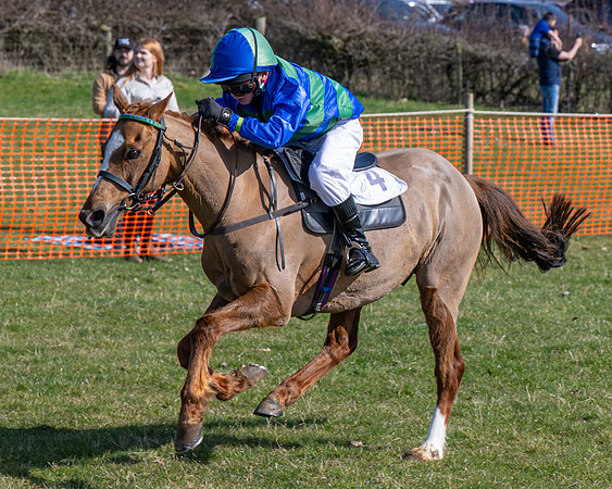 Pony Race 2 - 138cm (50 of 65)