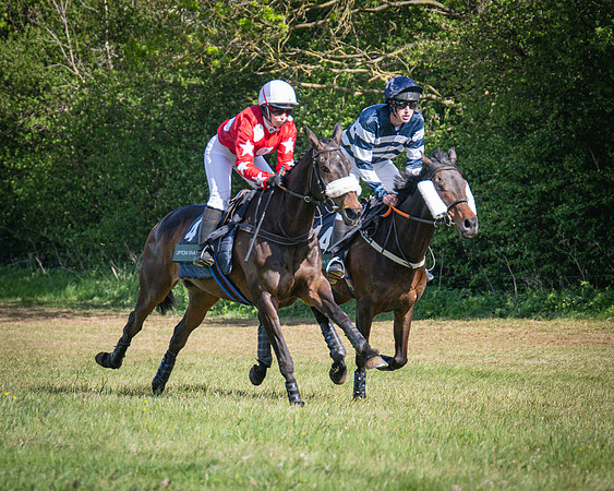 Race 5 - F N Pile and Sons PPORA Novice Riders (51 of 151)