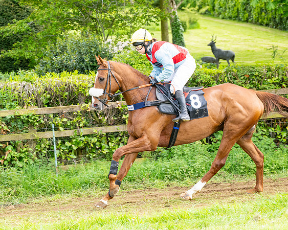 Race 5  - Novice riders (16 of 188)