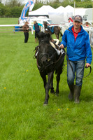 Pony Race - 1   11