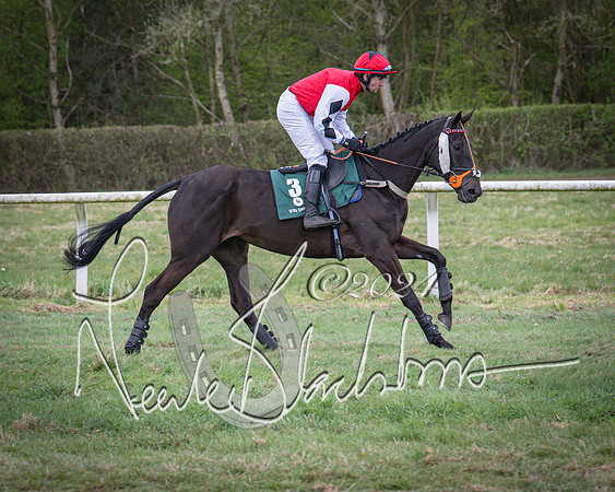 Race 7 - The Jockey Club maiden race for Mares and Fillies only (27 of 96)