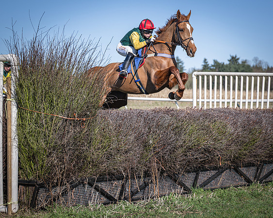 Race 3 - Ladies Open (5 of 56)