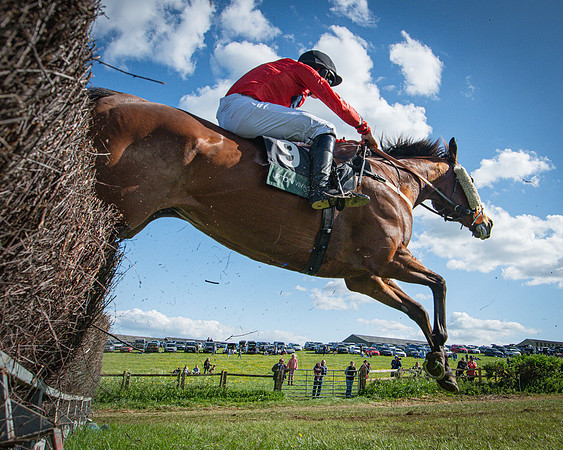 Race 5 - F N Pile and Sons PPORA Novice Riders (62 of 151)