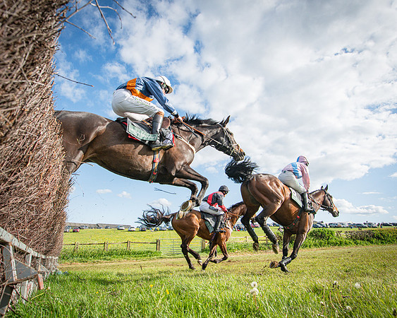 Race 7 - Walnut Hill PPORA club members maiden (20 of 104)
