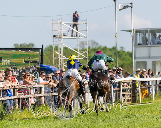 Race 6 - Owner trainer conditions (209 of 272)