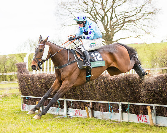 Race 6 - 6 year old and over Maiden 2m4f (41 of 62)
