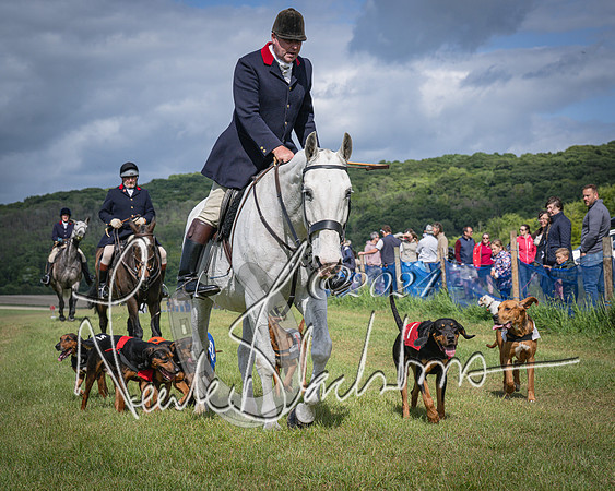 The Hound Race (67 of 68)