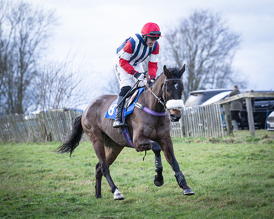 Race 7 - Maiden Conditions (8 of 164)