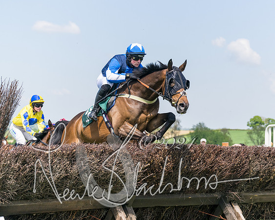 Race 2 - The Maiden  (155 of 442)