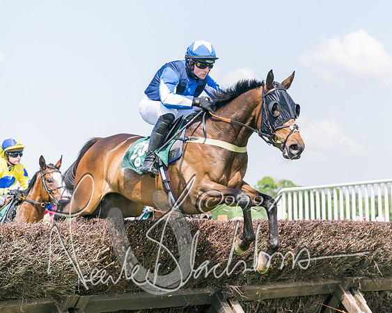 Race 2 - The Maiden  (159 of 442)