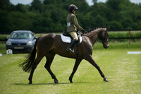 Jackson Dressage 21