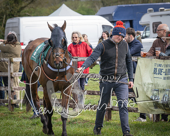 Race 3 - 5 years old and Over Maiden Race (2 of 130)