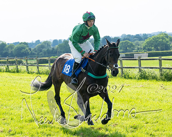 Race 5  - Maiden race 2m5F Div-2 (58 of 205)