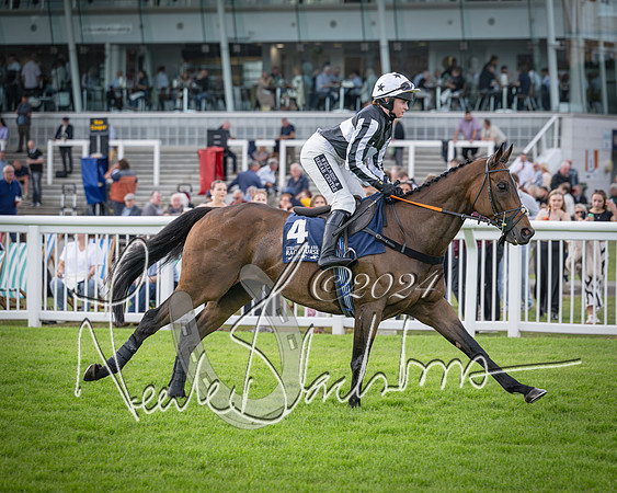 Race 2 - Olly Murphy Racing Stratford Ladies Open (37 of 111)