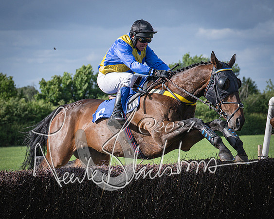 Race 6 - Thorn Plant Hire Maiden Race (50 of 129)
