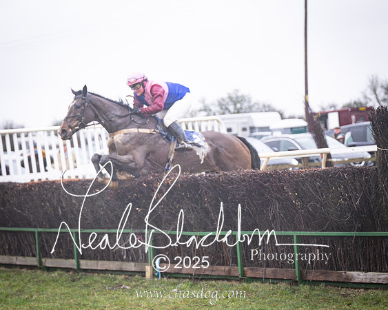 Race 2 - Restricted (42 of 70)-Enhanced-NR