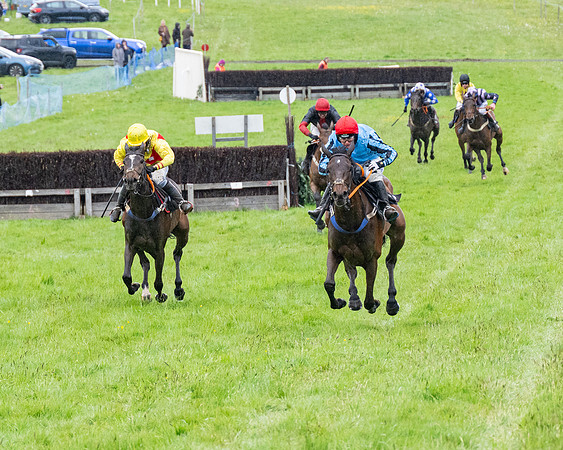 Race 8 - Bumper Div 2 (49 of 84)
