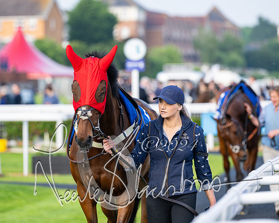 Race 4 - Stratford Foxhunters (6 of 145)
