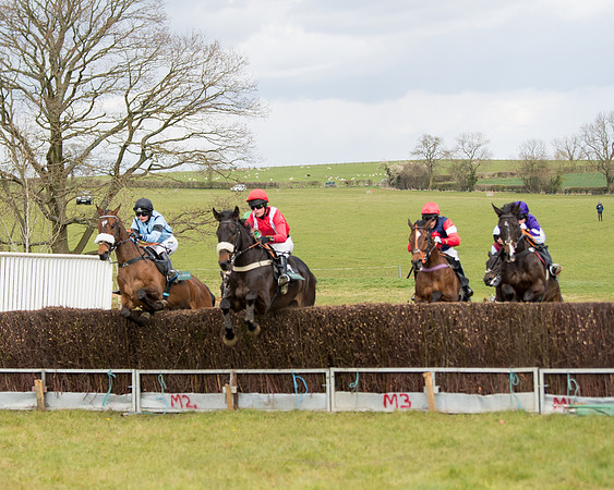 Race 2 - Young Horse Maiden (33 of 104)