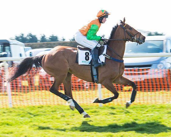 Race 1 - Open Maiden Div 1 (22 of 88).jpg