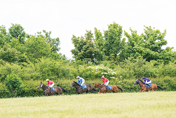 Race 5 - Restricted  (61 of 136)