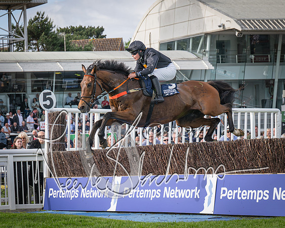 Race 2 - Olly Murphy Racing Stratford Ladies Open (63 of 111)
