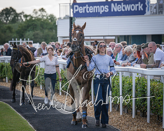Race 3 - The pointtopoint.co.uk champion novices’ Hunter Chase (13 of 140)