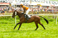 Old Berks at Lockinge Confined Hunts Race