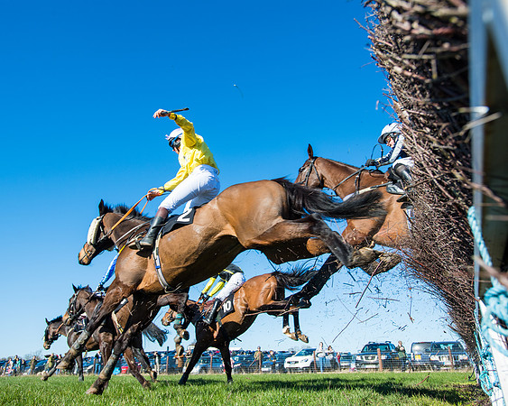 Race 4 - Ladies Open  (91 of 200)