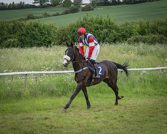 Race 5 - 3 Mile Maiden [NWFAA] (13 of 95)