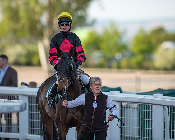 Race 3 - KTDA Hunters' Steeple Chase  (94 of 226)