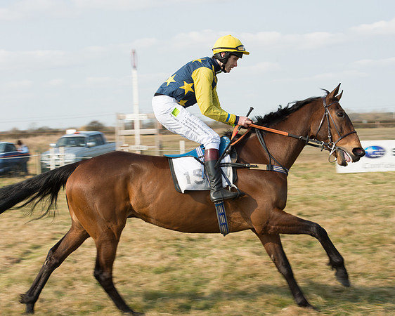 Race 2 - Open Maiden (17 of 101).jpg